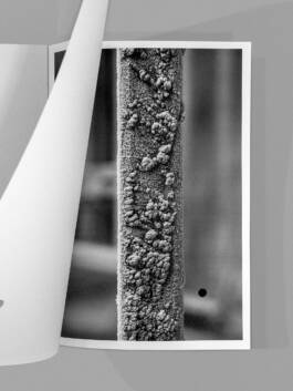  Studio Cristian Ordóñez