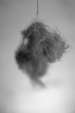 Studio Cristian Ordóñez