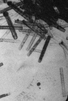 Studio Cristian Ordóñez