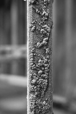 Studio Cristian Ordóñez