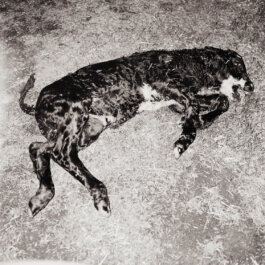 Studio Cristian Ordóñez