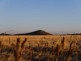  Studio Cristian Ordóñez