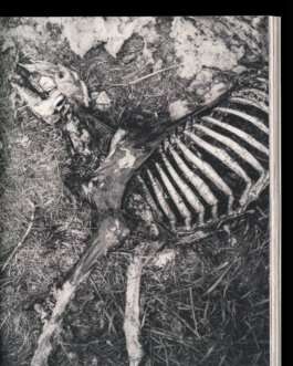 Studio Cristian Ordóñez