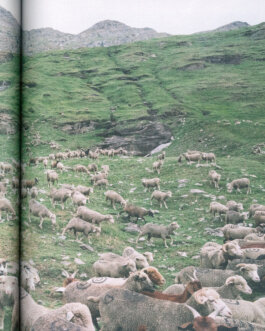 Studio Cristian Ordóñez