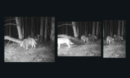 Studio Cristian Ordóñez