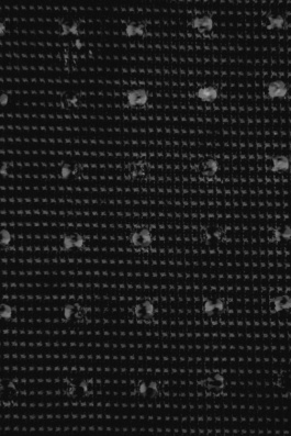 Studio Cristian Ordóñez