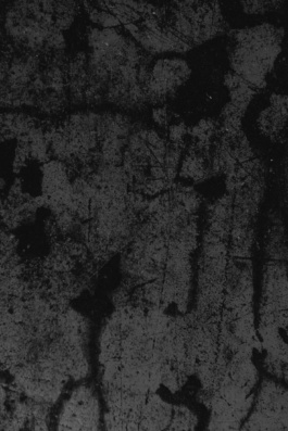 Studio Cristian Ordóñez