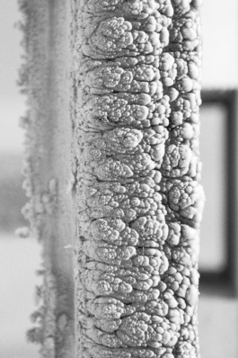 Studio Cristian Ordóñez