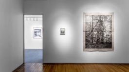 Frequency, Cristian Ordóñez. Galería Animal, solo exhibition 2022 Studio Cristian Ordóñez