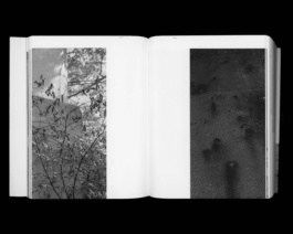 Studio Cristian Ordóñez