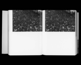 Studio Cristian Ordóñez