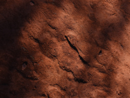  Studio Cristian Ordóñez