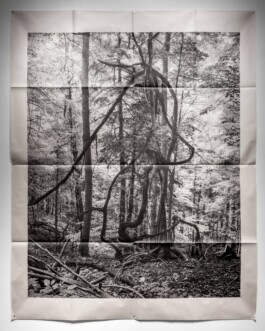  Studio Cristian Ordóñez