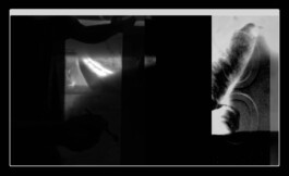  Studio Cristian Ordóñez