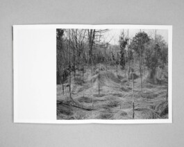 Studio Cristian Ordóñez