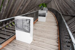  Studio Cristian Ordóñez