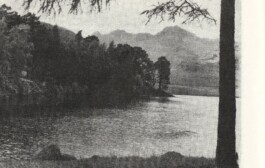 Studio Cristian Ordóñez