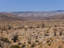  Studio Cristian Ordóñez