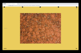  Studio Cristian Ordóñez