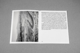 Studio Cristian Ordóñez