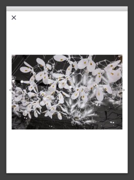 Studio Cristian Ordóñez