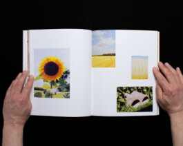 Studio Cristian Ordóñez