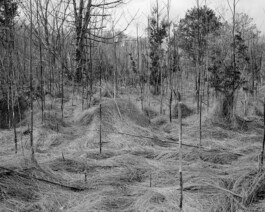 Studio Cristian Ordóñez