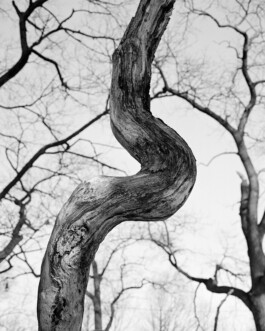 Studio Cristian Ordóñez