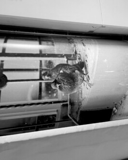  Studio Cristian Ordóñez