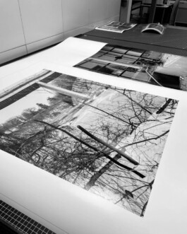  Studio Cristian Ordóñez