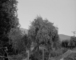  Studio Cristian Ordóñez