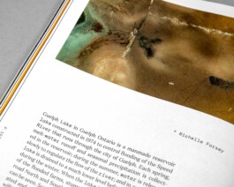 Studio Cristian Ordóñez