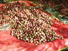  Studio Cristian Ordóñez