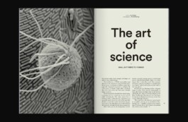  Studio Cristian Ordóñez