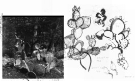 Studio Cristian Ordóñez