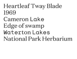 Studio Cristian Ordóñez