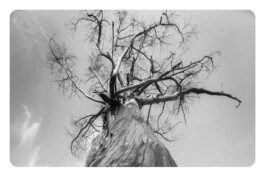 Studio Cristian Ordóñez