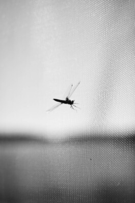 Studio Cristian Ordóñez