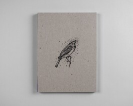  Studio Cristian Ordóñez