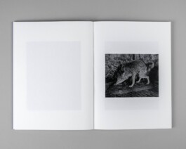  Studio Cristian Ordóñez