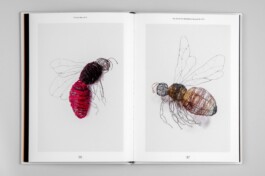 Studio Cristian Ordóñez