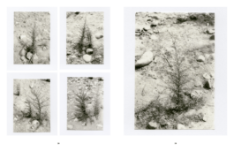 Studio Cristian Ordóñez