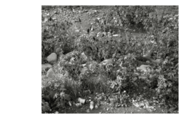 Studio Cristian Ordóñez