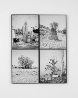 Studio Cristian Ordóñez