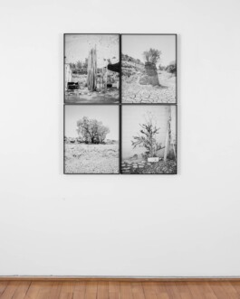 Studio Cristian Ordóñez