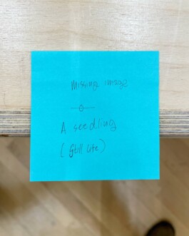  Studio Cristian Ordóñez